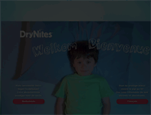 Tablet Screenshot of drynites.be